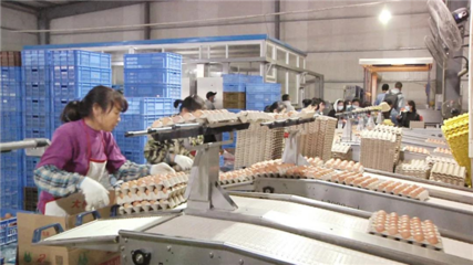 第七批農業產業化國家重點龍頭企業名單公示 黃陂上榜一家