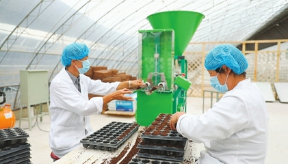 臨猗縣以產業(yè)化推進農業(yè)高質量發(fā)展
