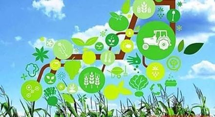他的羊場是農業(yè)部認定的無公害畜產品生產基地,一年收益300萬!
